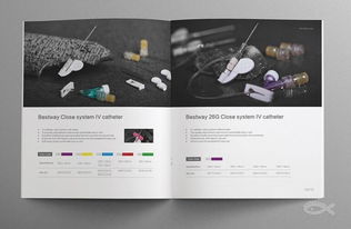 蓝玛设计 专业品牌视觉解决方案，赋能厦门企业成长